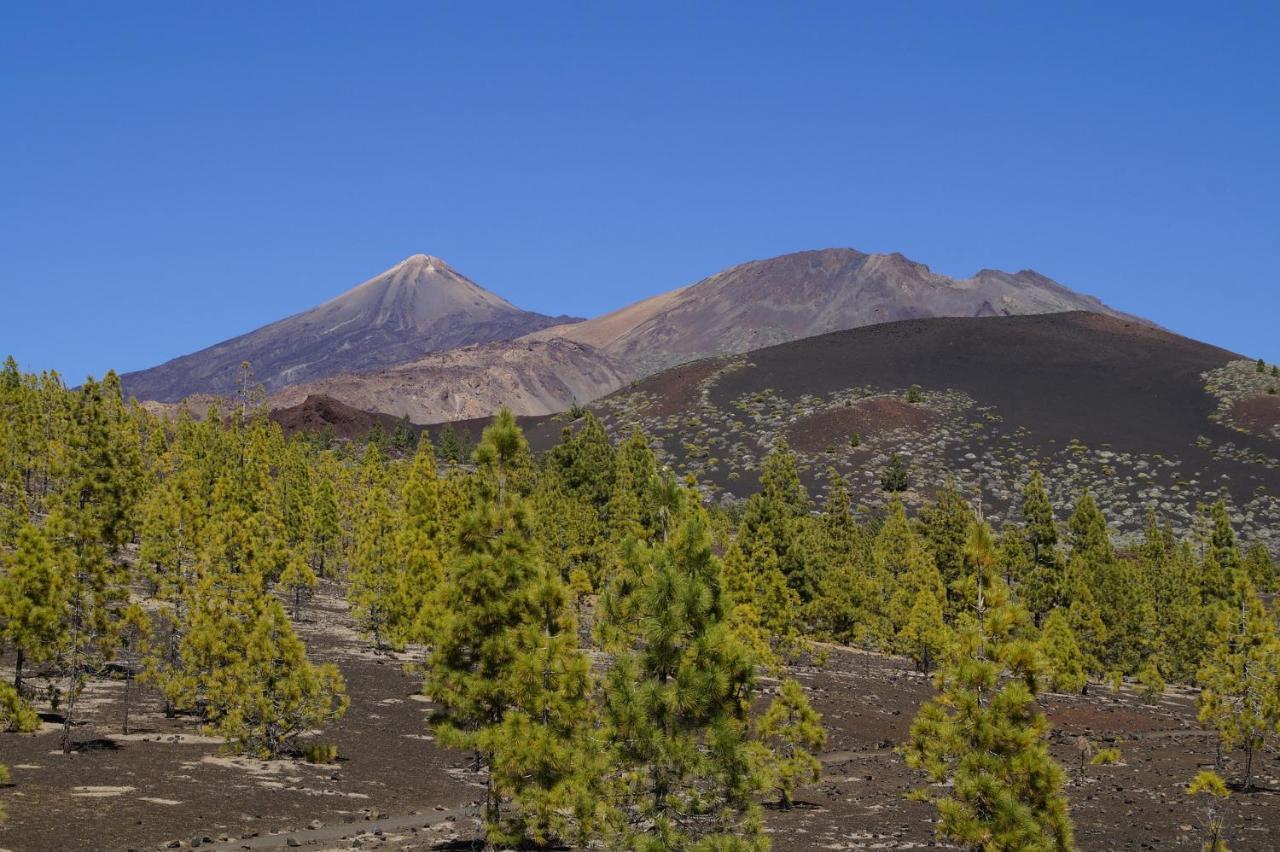 Vista Del Drago Villa Icod De Los Vinos Luaran gambar
